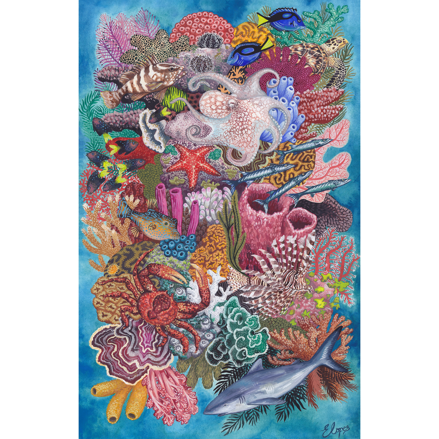Rock Sound Reef (534 Pieces)